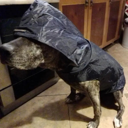 Raincoat Pet Supplies