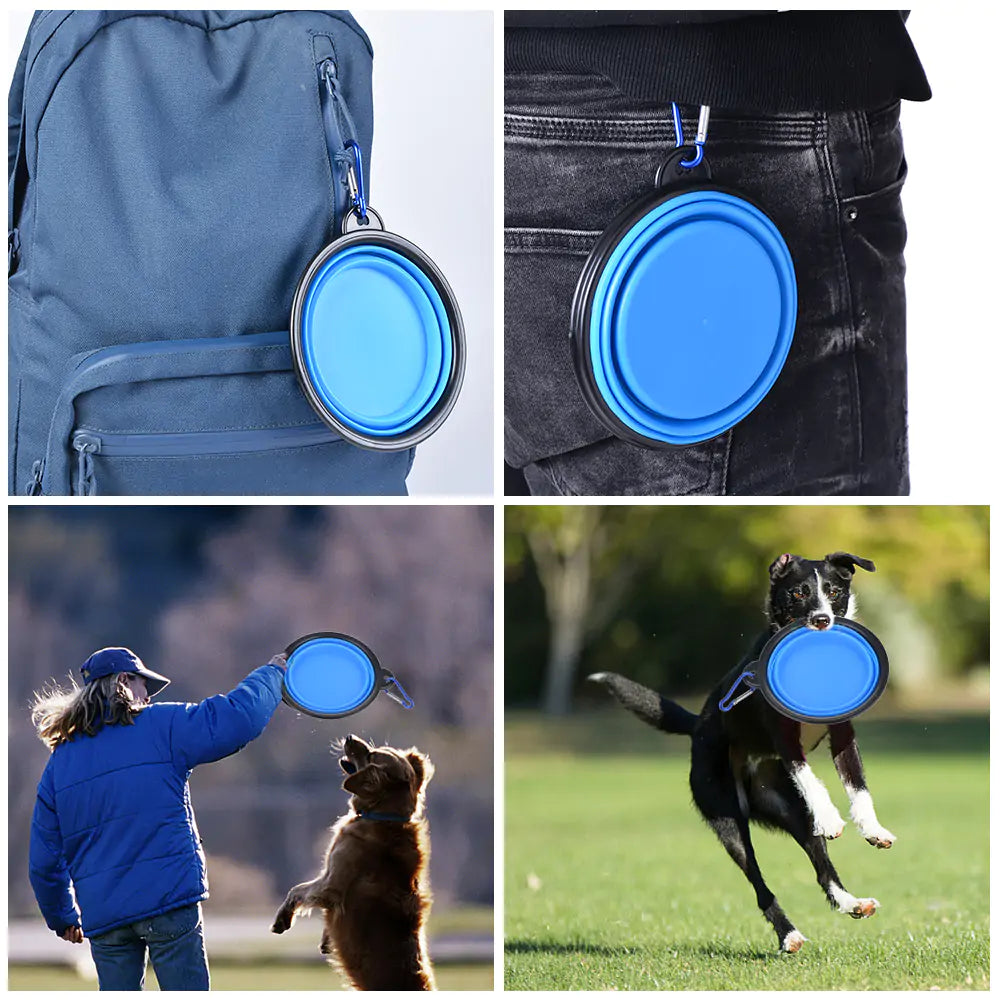 Collapsible Pet Bowl