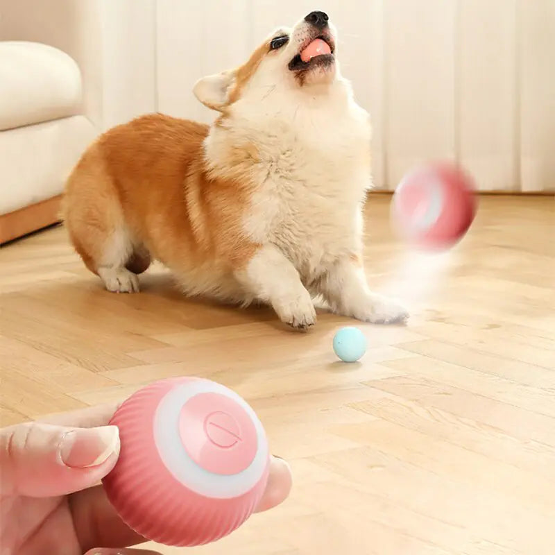 Electric Dog Toys Smart Puppy Ball Toy